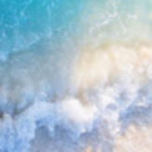 Meet your Posher, Ava